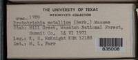 Image Associated With the Occurence